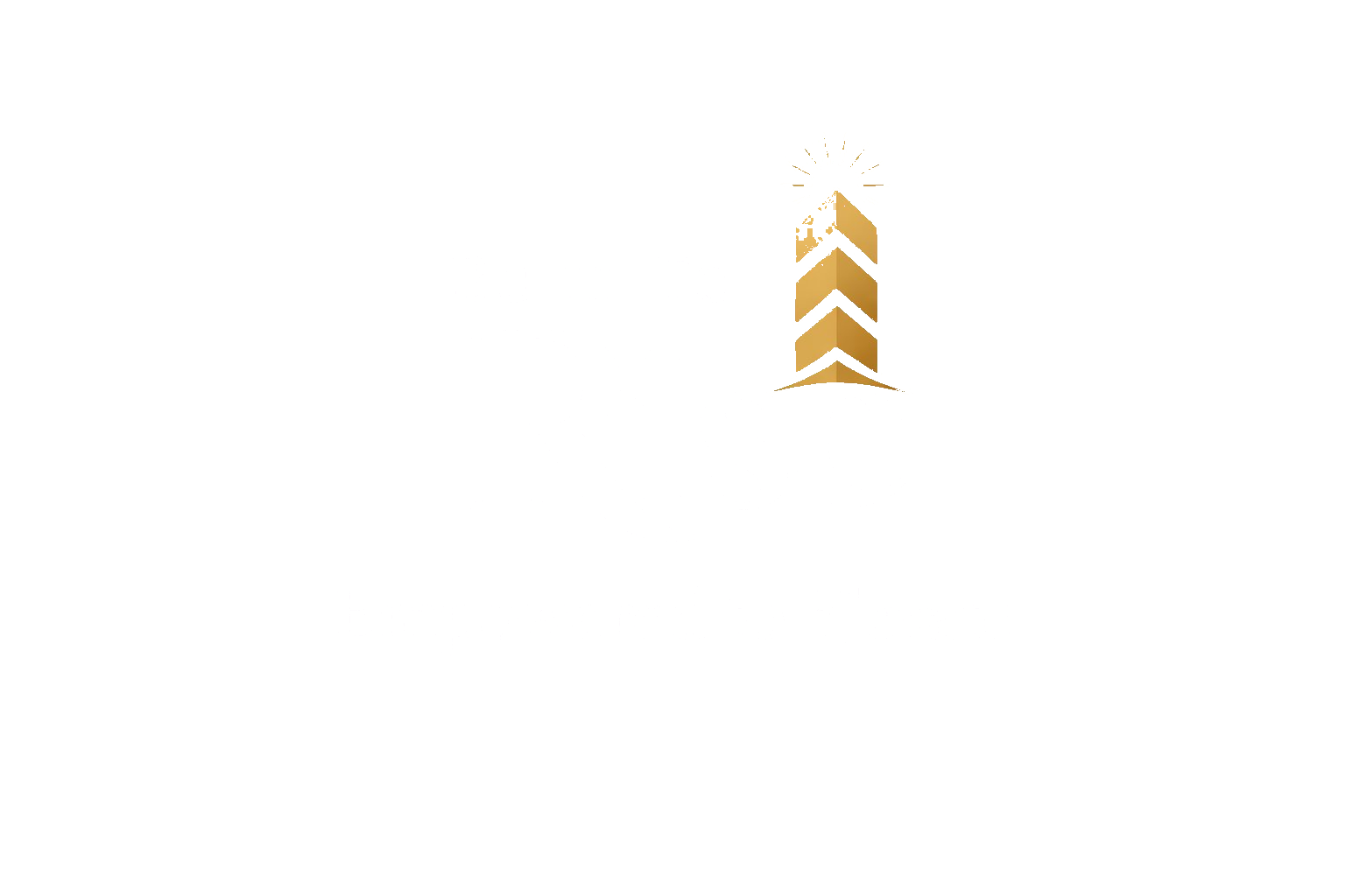 Built To Rise Foundation